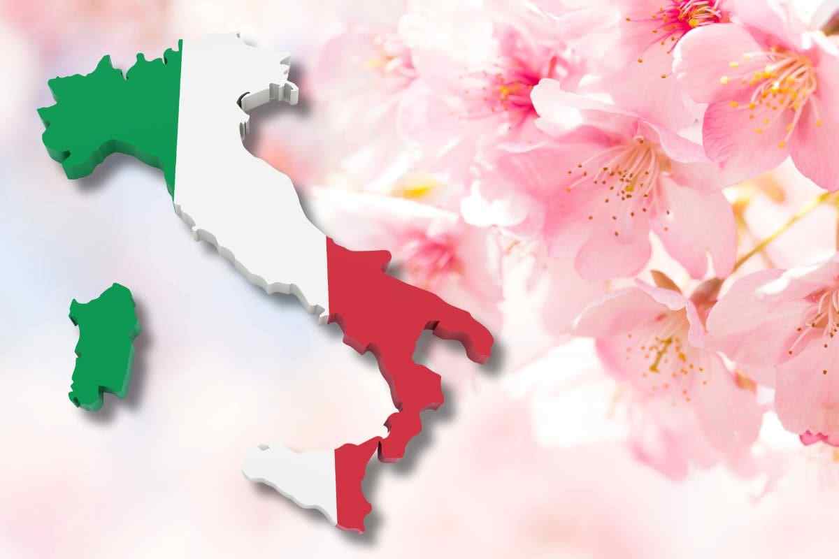 Bellissimo giardino giapponese in Italia