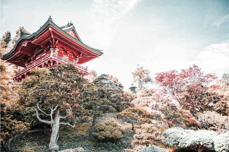 Bellissimo giardino giapponese in Italia