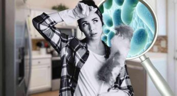 Così la cucina diventa un covo di batteri: i punti (impensabili) dove si annidano più facilmente